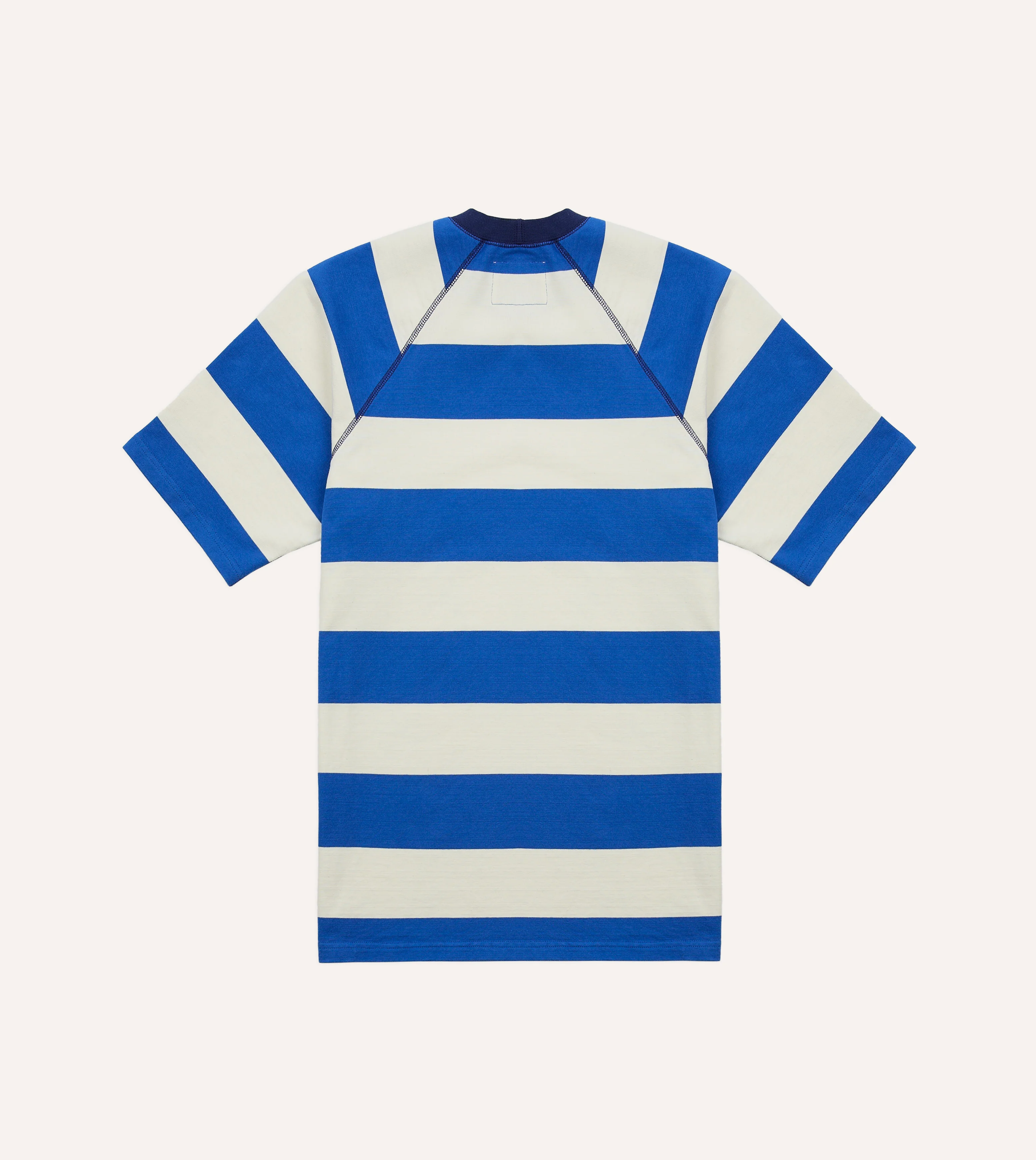 Blue and White Stripe Raglan Sleeve Hiking T-Shirt - Image 4